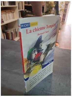 La chienne tempête - Bernard Clavel