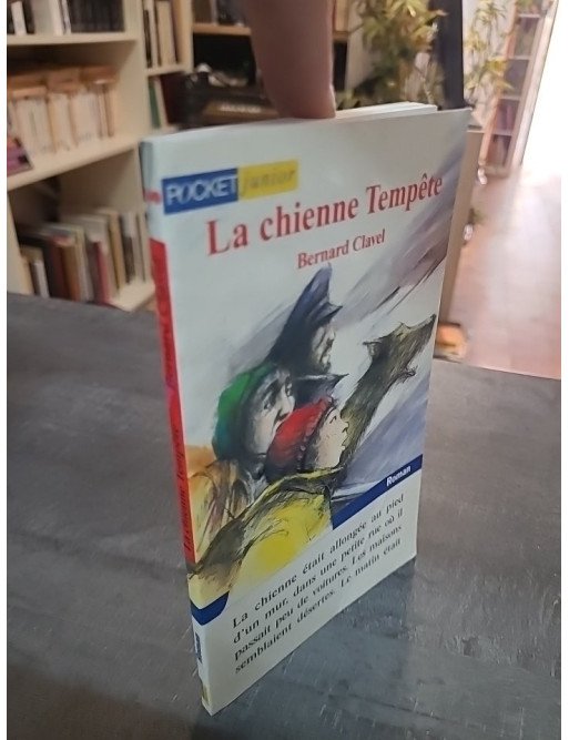 La chienne tempête - Bernard Clavel