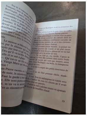 La chienne tempête - Bernard Clavel