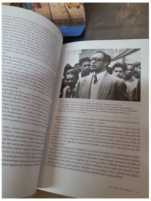 Mandela, le portrait autorisé — Mike Nicol