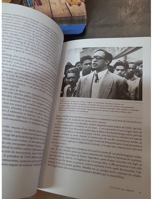 Mandela, le portrait autorisé — Mike Nicol