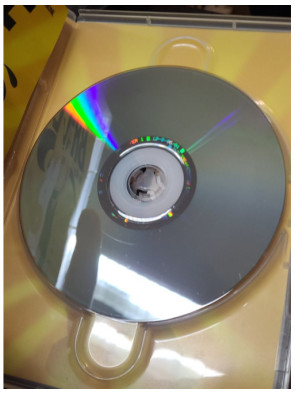 Brice de Nice - James Huth