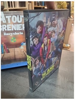 16 Ans ou Presque - DVD