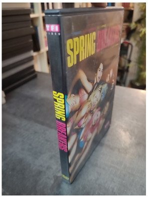 Spring Breakers (DVD)