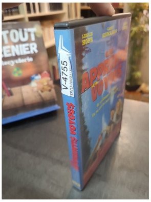 Les Apprentis Voyous (DVD)