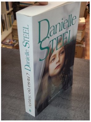 Ashley où es-tu Danielle Steel