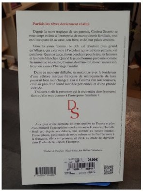 Palazzo - Danielle Steel