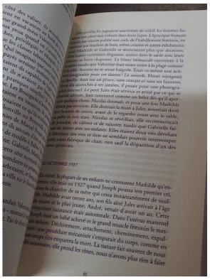 Les Bourgeois - Alice Ferney