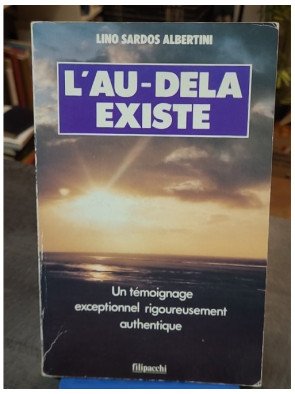 L'au-delà existe - Un témoignage exceptionnel rigoureusement documenté de Lino Sardos Albertini