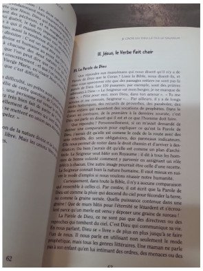 Paraboles d'un curé de campagne - Tome 2 de Pierre Trevet