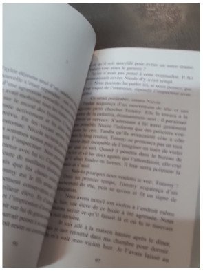 Scrupules de Danielle Steel