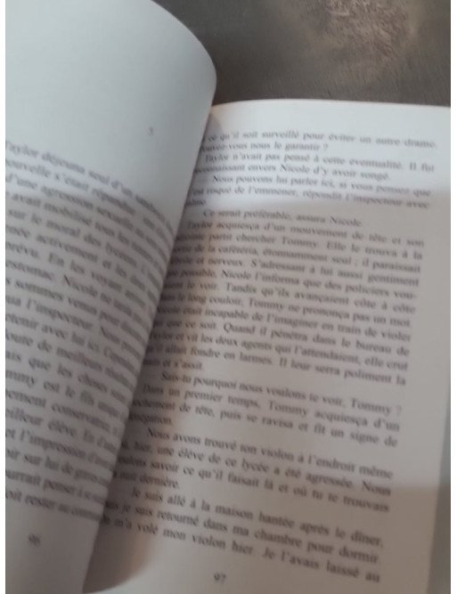 Scrupules de Danielle Steel