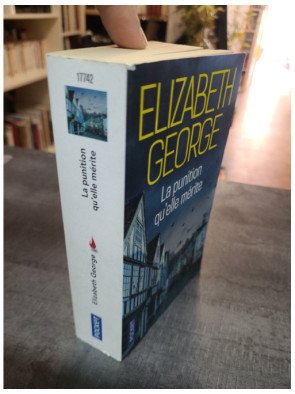 La punition qu'elle mérite - Elizabeth George