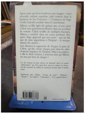 Accident - Danielle Steel