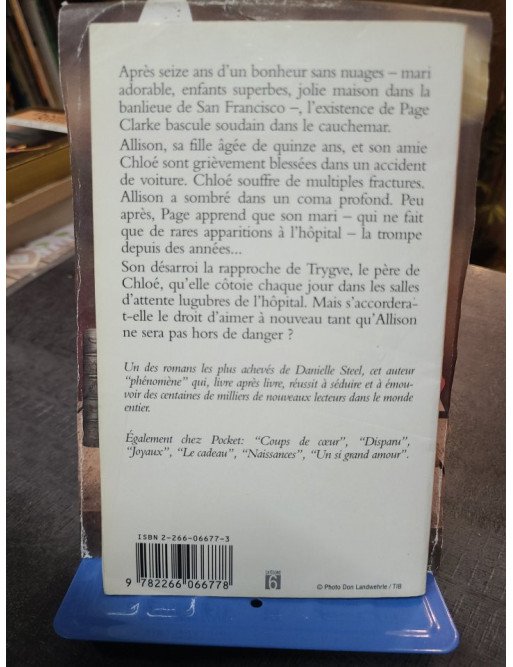 Accident - Danielle Steel