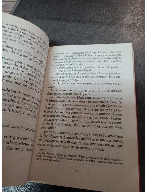 Le secret de la cathédrale - Béatrice Nicodème