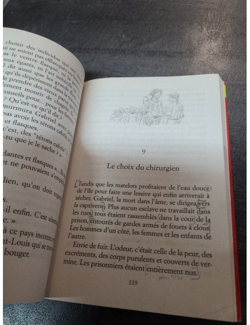 Deux graines de cacao - Évelyne Brisou-Pellen