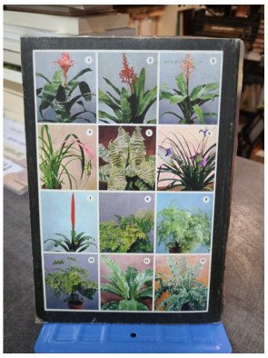 Je reconnais les fleurs - Michelle Lorrain