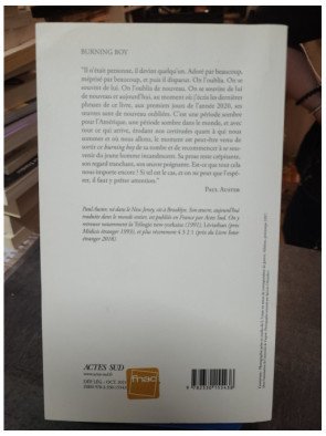 Burning Boy - Vie et œuvre de Stephen Crane - Paul Auster