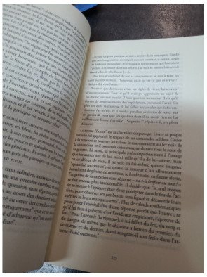 Burning Boy - Vie et œuvre de Stephen Crane - Paul Auster