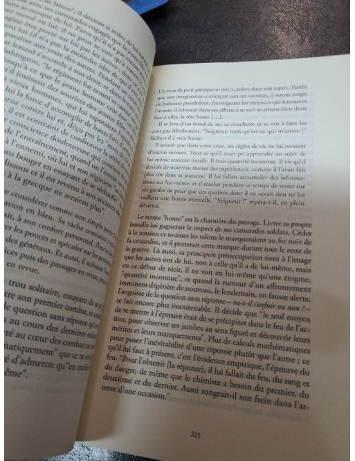 Burning Boy - Vie et œuvre de Stephen Crane - Paul Auster