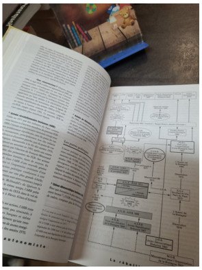 La France rebelle - Xavier Crettiez - Isabelle Sommier