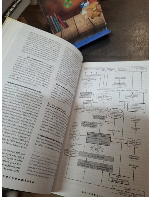 La France rebelle - Xavier Crettiez - Isabelle Sommier