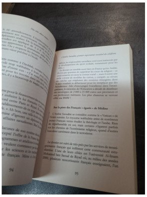 Nos très chers émirs - Christian Chesnot