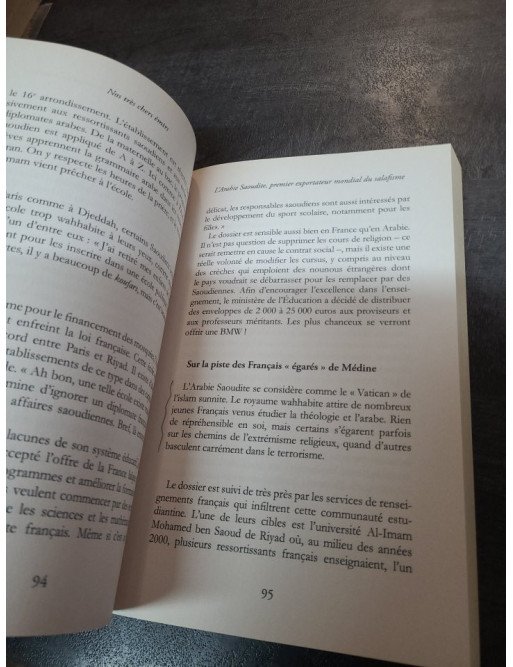 Nos très chers émirs - Christian Chesnot