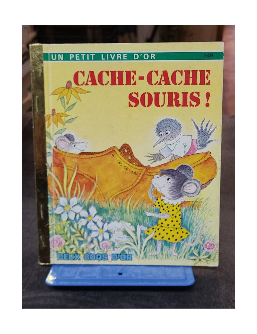 Cache-Cache souris ! - Collectif