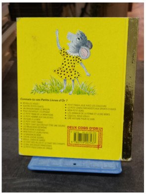 Cache-Cache souris ! - Collectif