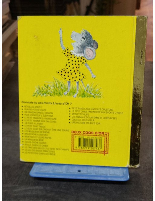 Cache-Cache souris ! - Collectif