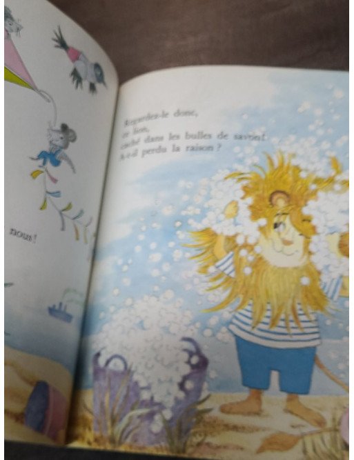 Cache-Cache souris ! - Collectif