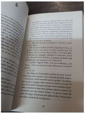 Hantée - Tome 1 : Les Ombres de la ville