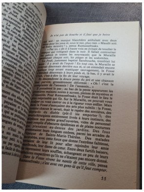 Demain l'Italie - Fiction Spécial (Collectif)