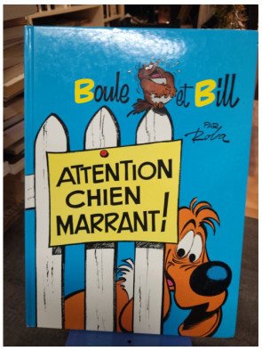 Boule et Bill, Attention Chien Marrant !