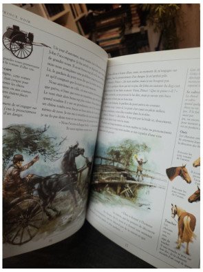 Prince Noir (version abrégée) - Anna Sewell