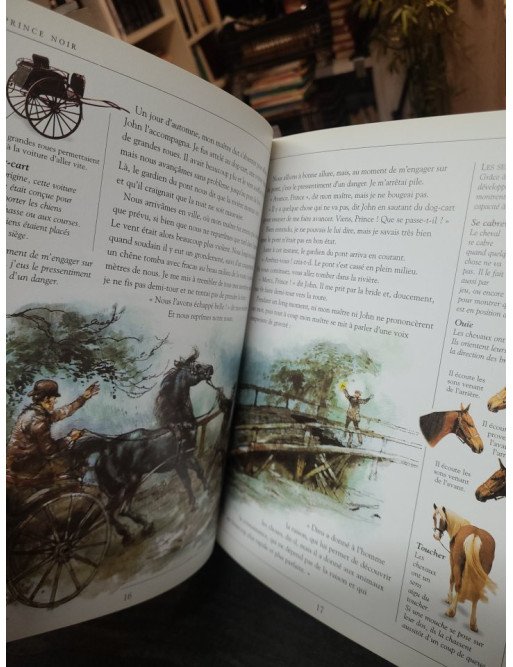 Prince Noir (version abrégée) - Anna Sewell