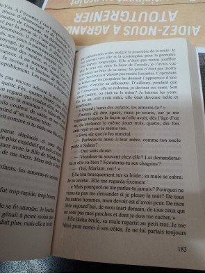 Léon l'Africain Par Amin Maalouf