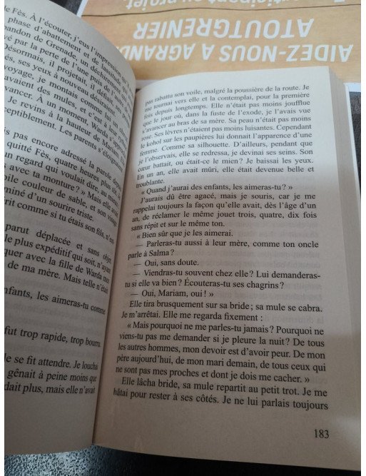 Léon l'Africain Par Amin Maalouf