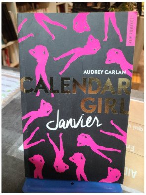 Calendar Girl - Janvier - Audrey Carlan