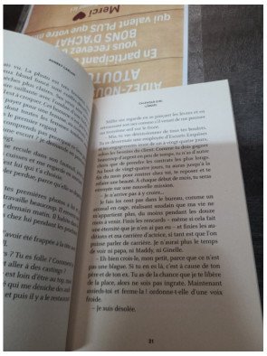 Calendar Girl - Janvier - Audrey Carlan