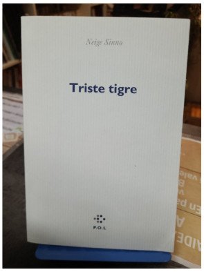 Triste Tigre - Prix Femina 2023 - Neige Sinno