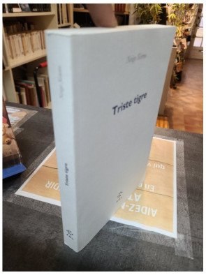 Triste Tigre - Prix Femina 2023 - Neige Sinno