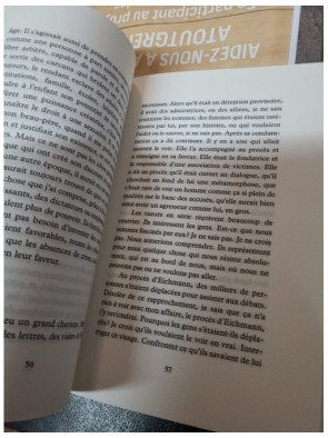 Triste Tigre - Prix Femina 2023 - Neige Sinno