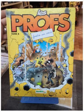 Les Profs Tome 8 - Fenêtre sur cours par Erroc et Pica
