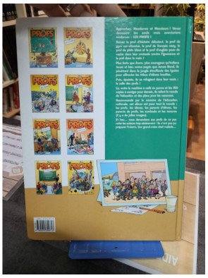 Les Profs Tome 8 - Fenêtre sur cours par Erroc et Pica