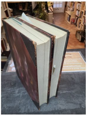 Histoire Générale de l'Art Tome 1 et 2 - Des origines au XVe siècle