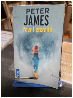Pour l'éternité - Peter James