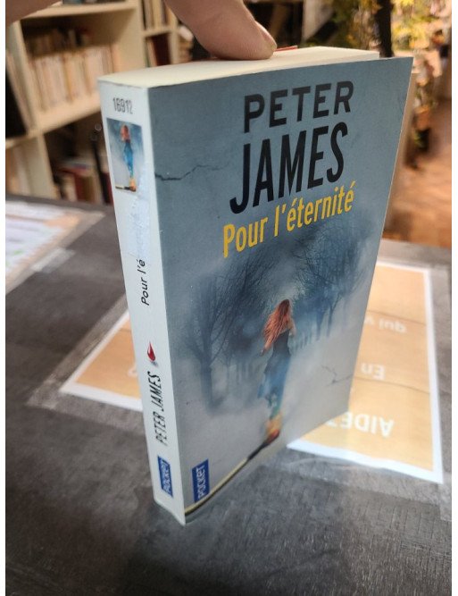 Pour l'éternité - Peter James